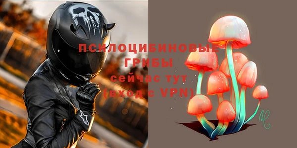 ECSTASY Зеленодольск